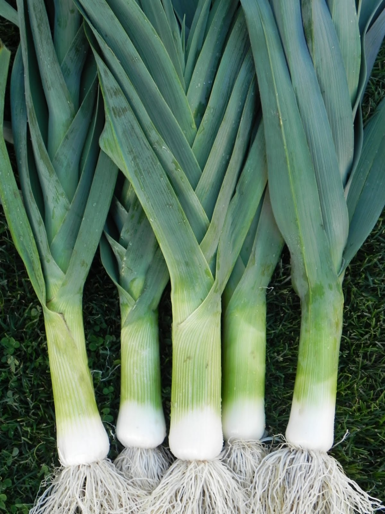 Leeks