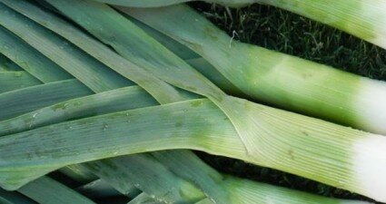 leeks