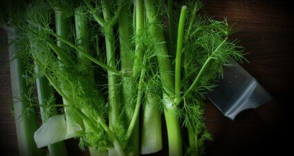 fennel