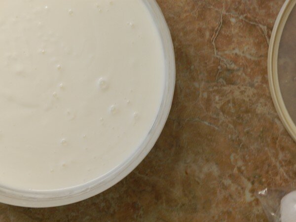 homemade yogurt