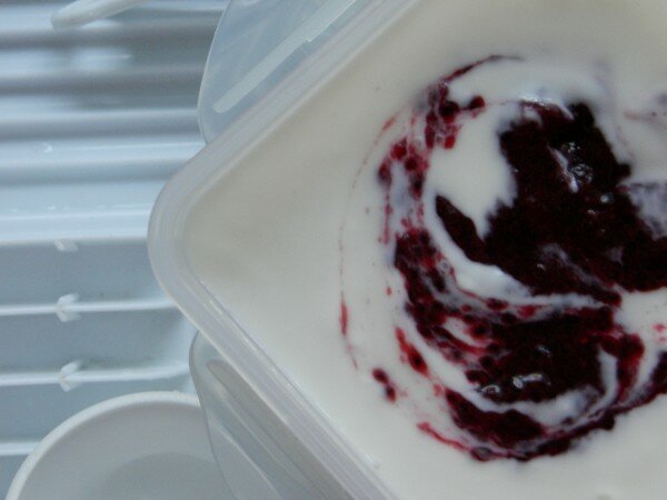 homemade yogurt